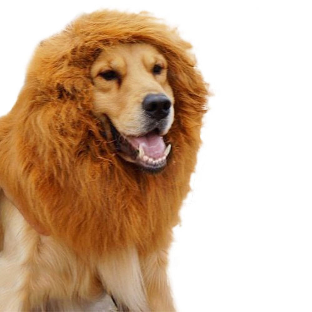Lion Wig Headgear