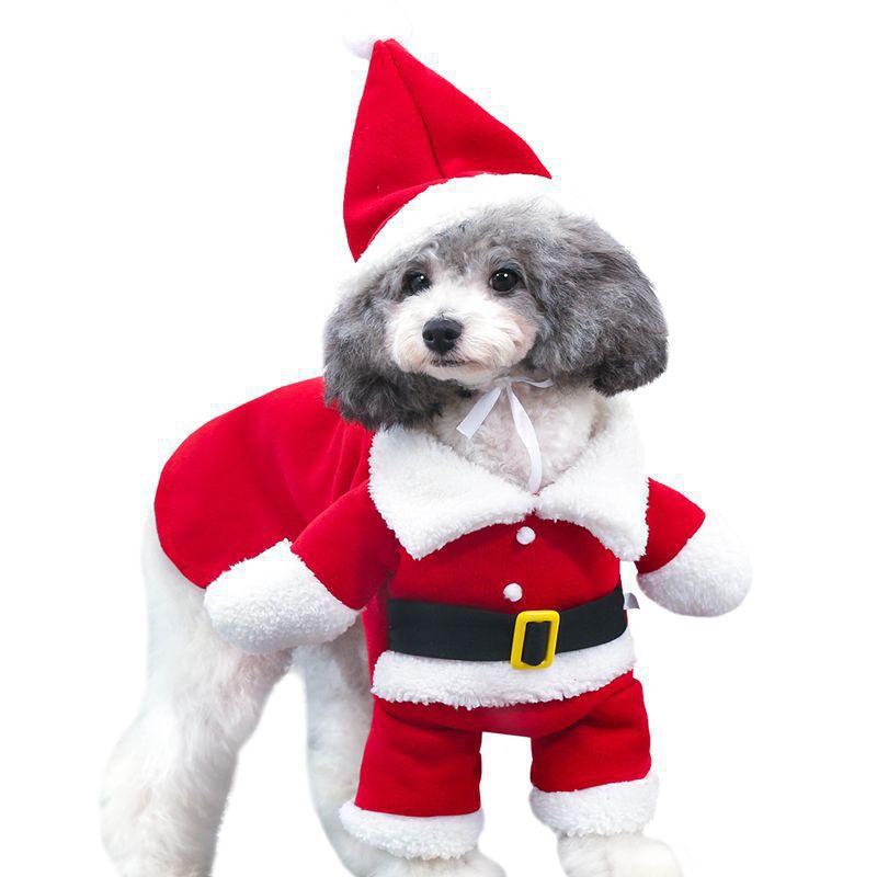 Santa Outfit for Dogs