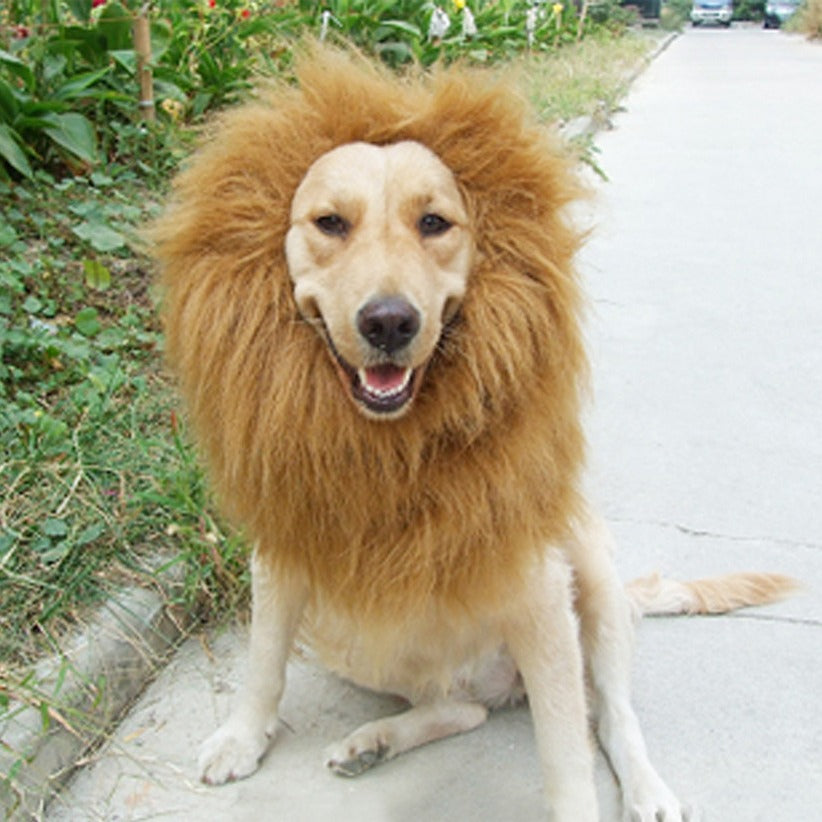 Lion Wig Headgear